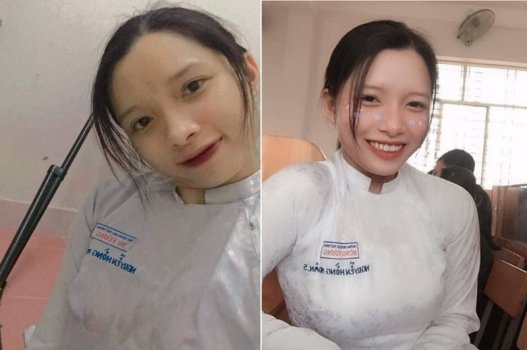 แมวทารกถูกพิชิตไปยังจุดสูงสุด