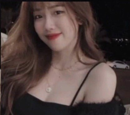 คลิปที่ละเอียดอ่อนได้รับการแจกจ่ายให้กับ Le Bich Van